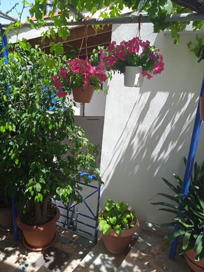 Apartmán To Limanaki Finikounda Exteriér fotografie